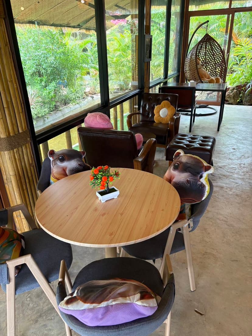 โซนคาเฟ่